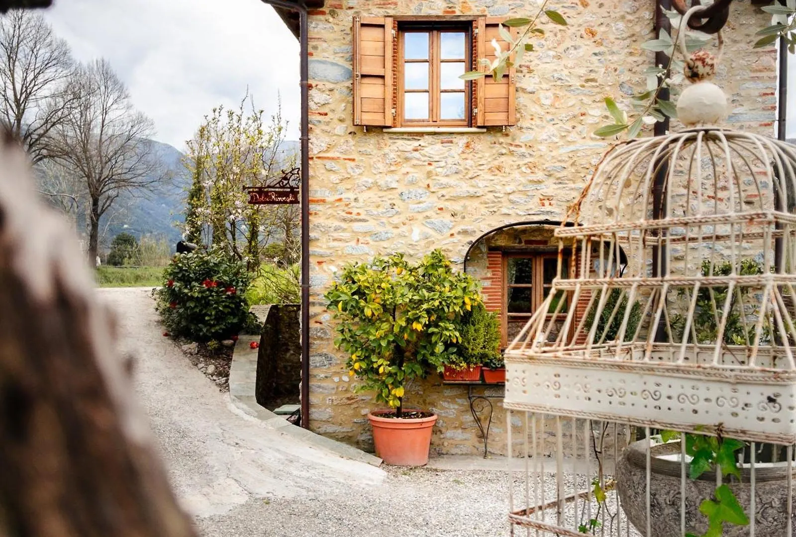 Dolci Risvegli Nella Natura - Tuscan Dream Camaiore 0*,